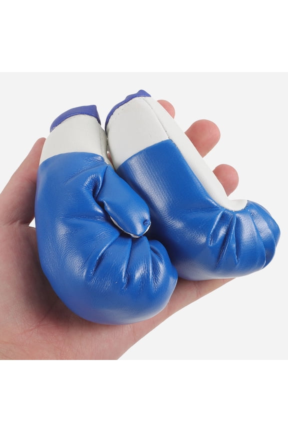 Mini Boxing Glove Keychain Set, 2 Pairs PVC Gloves for Sports Enthusiasts, Fans, and Collectors