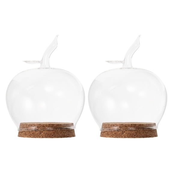 DEEPCRAFF 2Pcs Clear Glass Dome with Cork Base for Stylish Flower Display and Decoration