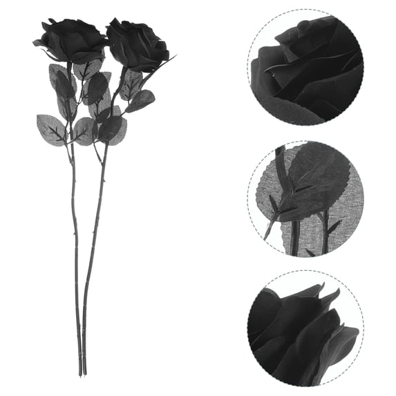 DEEPCRAFF 2-Pack Black Rose Artificial Flowers Decorative Photo Props for Living Room Home Decor