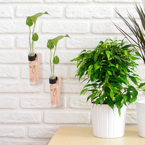 DEEPCRAFF 2Sets Easy Use Hanging Wall Planter Test Tube Vase for Indoor Plant Propagation and Decor