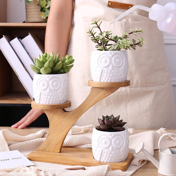 DEEPCRAFF 3 Flowerpots Decorative Owl Shape Flower Pot Assorted Decor