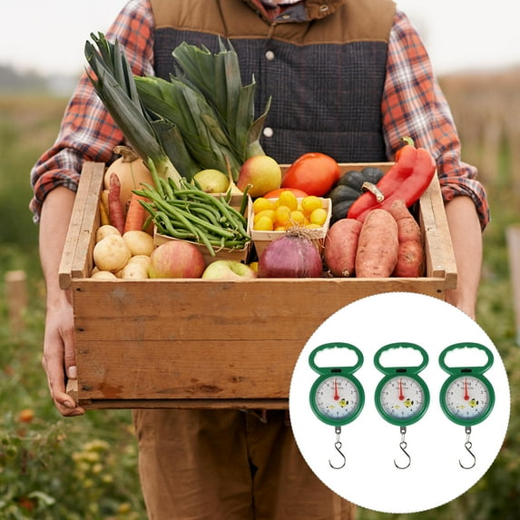 DEEPCRAFF 3Pcs Handheld Spring Scale Green Plastic Hook for Luggage Kitchen and Outdoors