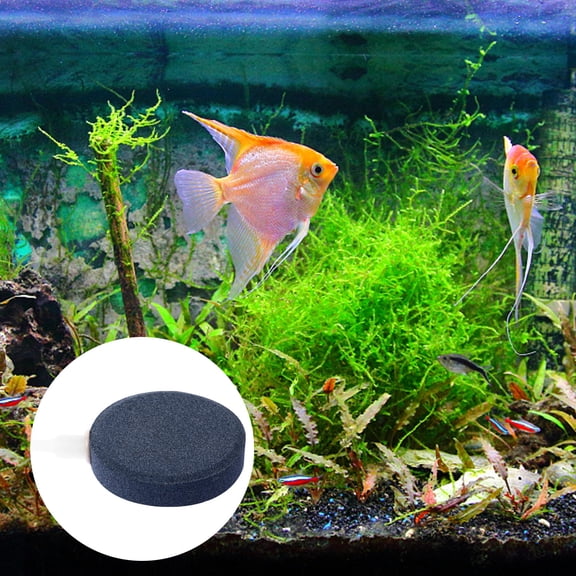 DEEPCRAFF 4Pcs Fish Tank Oxygen Stone Grey Air Bubble Stone Disc Durable and Washable for Aquarium