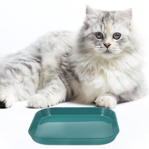 DEEPCRAFF 5Pcs Cat Feeding Bowls Shallow Design Suitable for Indoor Pets Food Safe and Sturdy