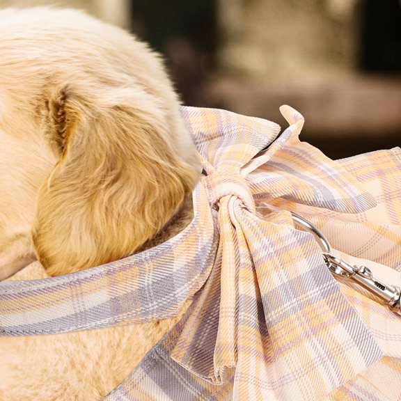 DEEPCRAFF Beige Bow Design Rabbit Leash Harness Comfortable Adjustable Small Pets Walking Rope