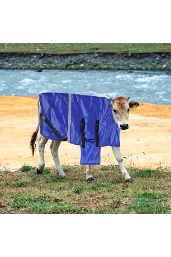 Blue Calf Warm Coat with Belly Protection Lightweight Winter Vest for Cattle