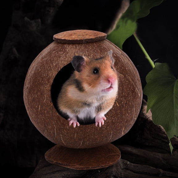 DEEPCRAFF Brown Polished Coconut Shell Pet Sleeping Bed Suitable for Desktop Use and Small Animals