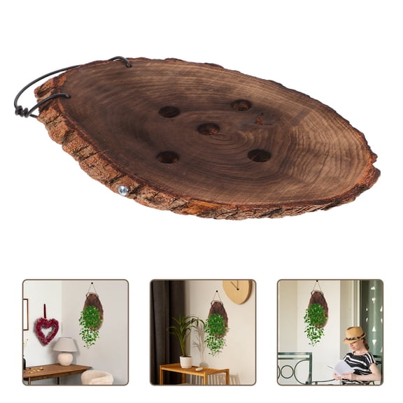 DEEPCRAFF Natural Solid Wood Wall Planter for Ferns Orchids and Succulents Durable Rustic Garden Hanger