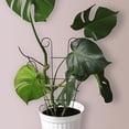 thumbnail image 1 of DEEPCRAFF Black Metal Garden Trellis with Iron Rods for Climbing Plants, Vines, Flowers, and, 1 of 8