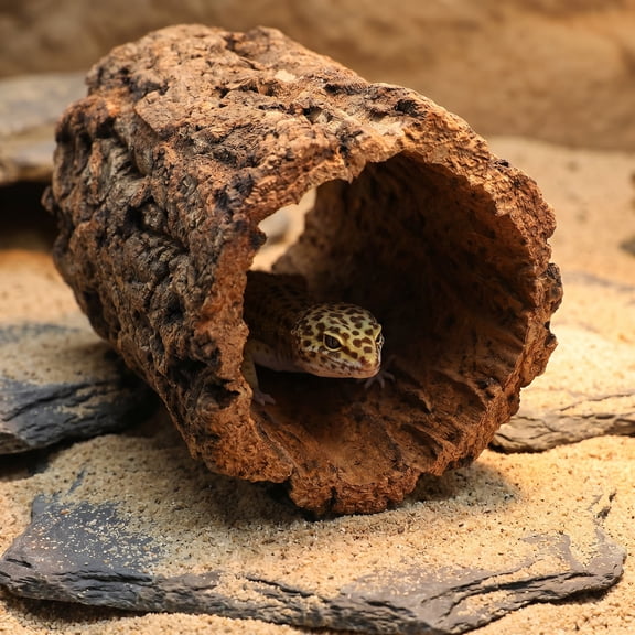 DEEPCRAFF Natural Coffee Cork Bark Reptile Hideout Cave for Amphibians, Lizards, Humid Shelter and Terrarium Decoration