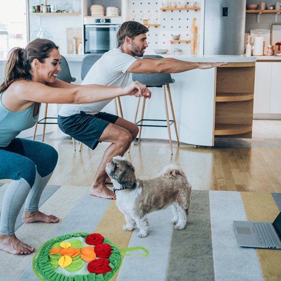 DEEPCRAFF Pet Training Cushion Green Bunny Snuffle Mat for Treat Dispensing and Feeding