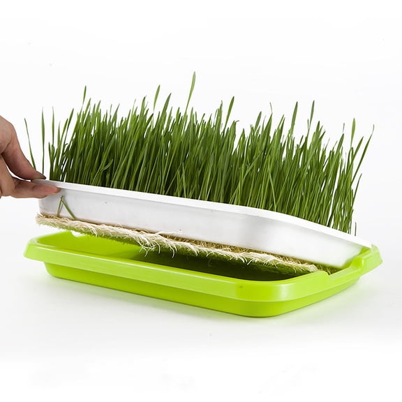 DEEPCRAFF Plastic Soil-Free Sprouting Basin for Hydroponic Wheatgrass and Plant Germination