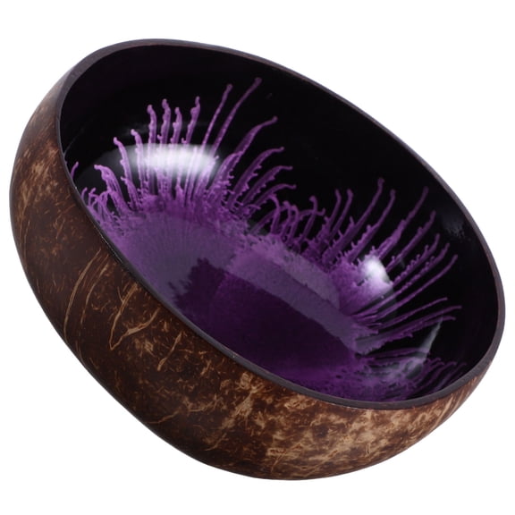 DEEPCRAFF Natural Purple Coconut Shell Bowl Key Holder Decorative Candy Dish Nut Tray for Entryway and Desk