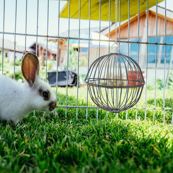 DEEPCRAFF Sturdy Iron Hay Holder for Small Pets Easy to Clean and Install