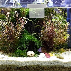 DEEPCRAFF Shrimp Hiding Box Aquarium Habitat Shelter for Shrimp and Small Fish, 1 Piece