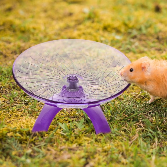 DEEPCRAFF Silent Purple Gerbil Wheel for Small Pets Hamsters Hedgehogs and Chinchillas Exercise