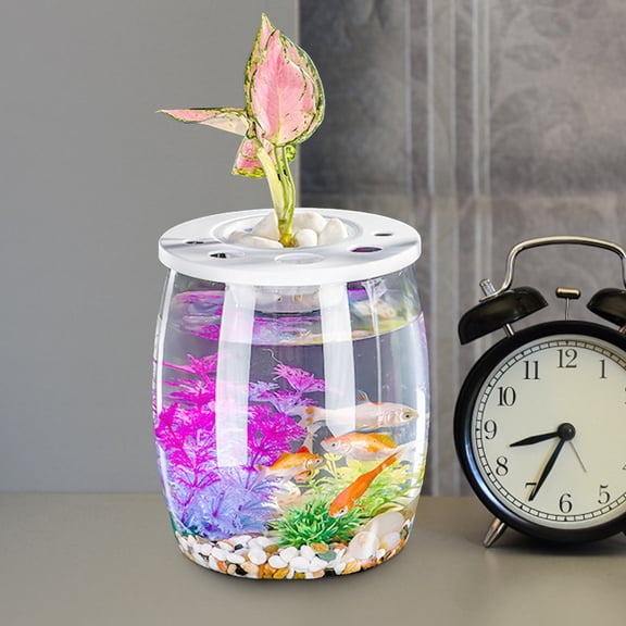 DEEPCRAFF Clear Plastic Fish Tank with Easy to Clean Design for Home Or Office