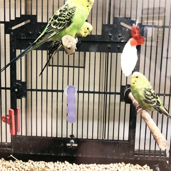 DEEPCRAFF Violet Bird Perch Natural Wood Cage Accessory for Parakeet Foot Exercise and Rest