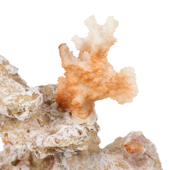 DEEPCRAFF Vivid Red Coral Reef Figurine Resin Aquarium Decor for Office Tabletop and Home Decoration
