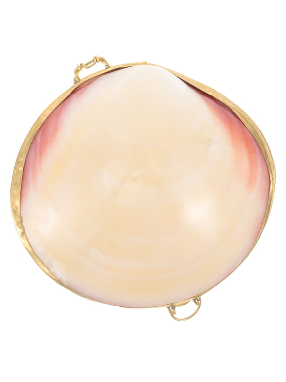 White Ring Holder Box Sea Shell Design for Necklace Earrings and Ring Storage