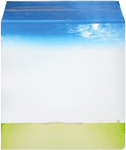 DEF002 Diesel Exhaust Fluid - 2.5 Gallon Jug (10)