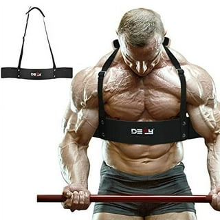 Bicep Tricep Workout