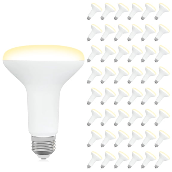 DEGNJU BR30 LED Flood Light Bulbs, 65W Equivalent 7W, Dimmable, 2700K Soft White, E26 Base, 650LM, Recessed Can Lights for Indoor Home Kitchen Bedroom, 48-Pack