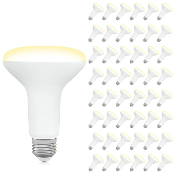 DEGNJU BR30 LED Flood Light Bulbs, 65W Equivalent 7W, Dimmable, 2700K Soft White, E26 Base, 650LM, Recessed Can Lights for Indoor Home Kitchen Bedroom, 48-Pack