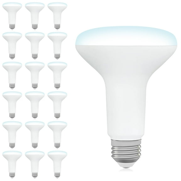 DEGNJU BR30 LED Light Bulbs, 65W Equivalent 7W, Dimmable Flood Lights, E26 Base, 5000K Daylight, 650LM, Recessed Can Bulbs for Kitchen Bedroom Home, 18-Pack