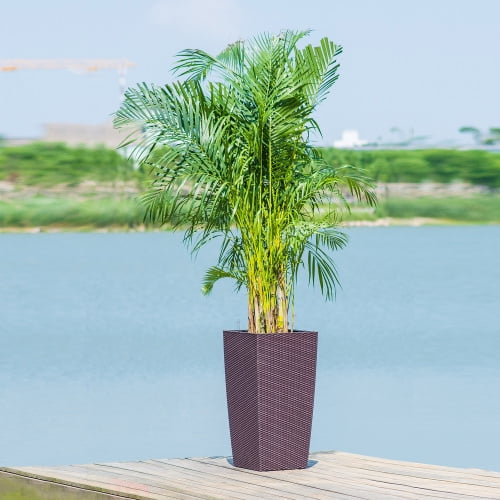 DEGUO 30 in Tall Large Flower Pots Planter with Self-Watering Drainage Holes&Inner Trays Indoor Outdoor Plant Pot with Drain Holes for Garden, Patio,Brown