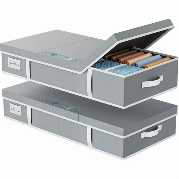 DELAMU 2-Pack Underbed Storage Boxes | Silent Wheels | Dustproof Clear Window | Drawer Lightweight Bin | Easy Organizer for Apartments/Dorm/Bedroom