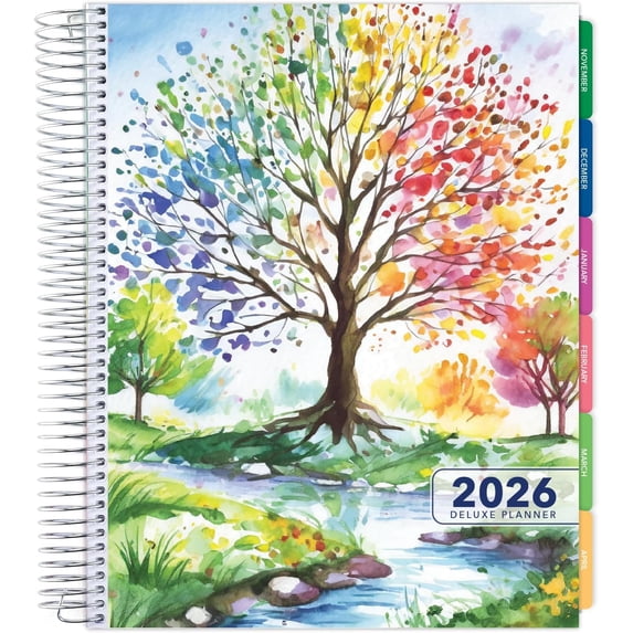 DELUXE 2026 Planner, 8.5