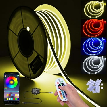 DELight 100ft/30m RGB LED Neon Rope Lights w/ APP & Remote Control Outdoor Decorations DEL-D100R