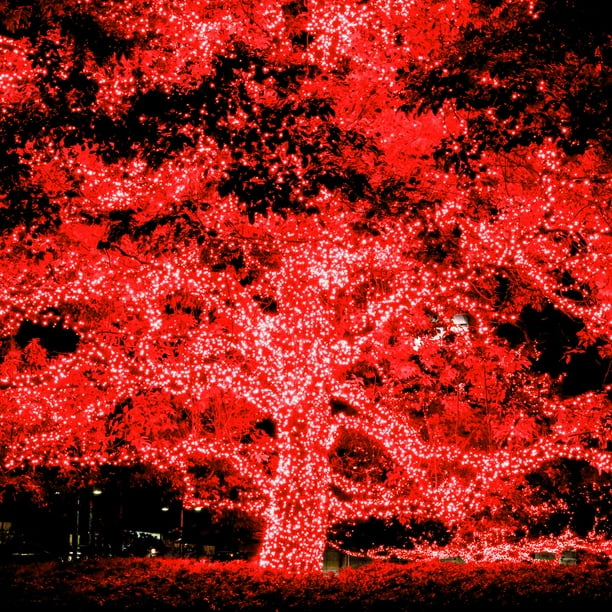 Red solar powered fairy lights hotsell