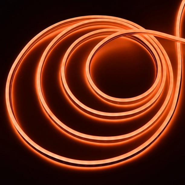 DELight2Sided LED NEON Rope Light 50 FT Commercial Bar Building Decor