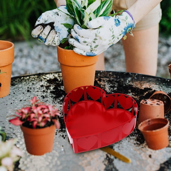 DEMACRIO 1Pack Valentine's Day Flowerpot for Craft Enthusiasts Heart Shape Pot 9x8in