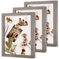 thumbnail image 1 of DEMAIKE 8x10 Shadow Box Frame Wood 3D Picture Frame wif Glass Cover, Display Case for Wall-Hanging or Free-Standing Picture Showcase, Set of 3, Texture gray, 1 of 4