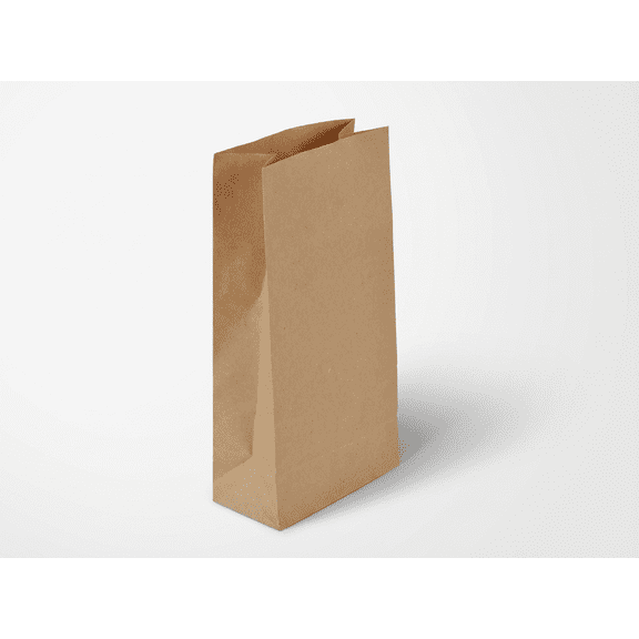 DEMAYA Brown Paper Bags #2 – Durable Kraft Lunch Bags – Flat Bottom Grocery & Takeout Bags – 500 Count + Free Car Fragrance