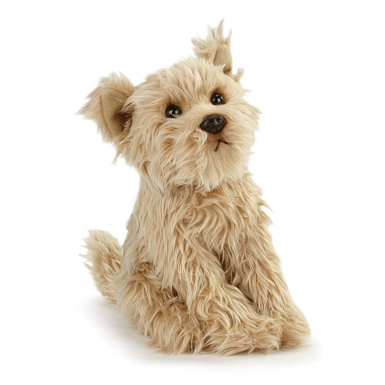 Toy mixed hotsell breed dogs