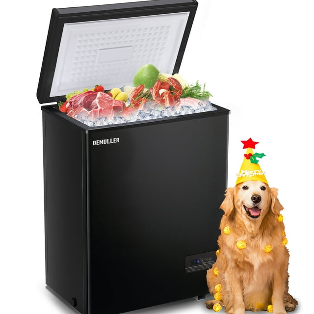 DEMULLER Compact Mini Deep Freezer with 2 Removable Baskets, Black Lid