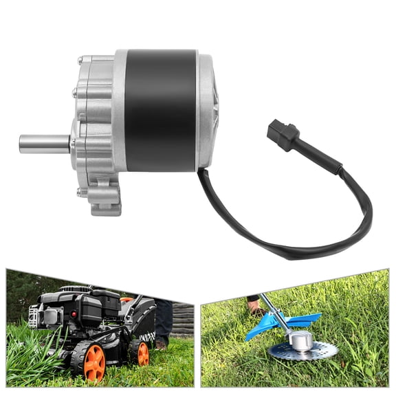 DENEST 250W 24V Electric Wheel Chair Brushed Gear Wheelchair DC Motor with 120rpm can Work