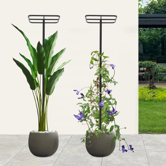 DENEST 2Pcs Dragon Fruit Trellis 12*47" Metal Vertical Support Frame for Climbing Plant