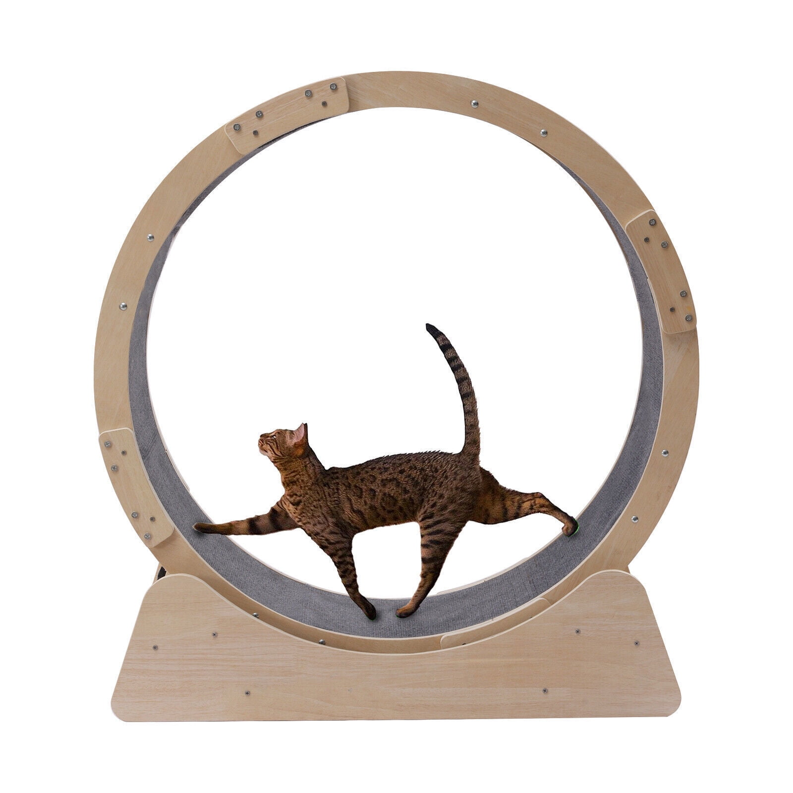 DENEST 96cm Cat Exercise Wheel Running Training Treadmill Toy Pet