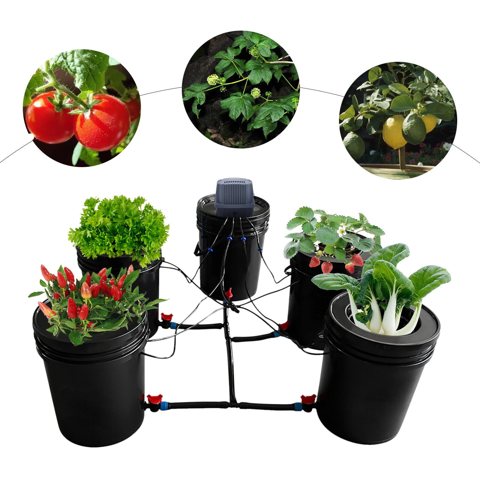 DENEST Hydroponics Grow System Kit 5 Buckets 5 Gallon Recirculating Deep Water Culture