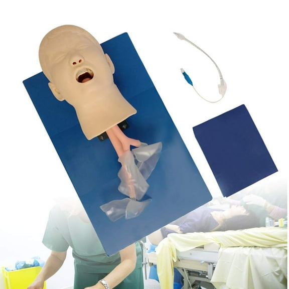 DENEST Intubation Manikin Teaching Child Model Airway Management Lab PVC