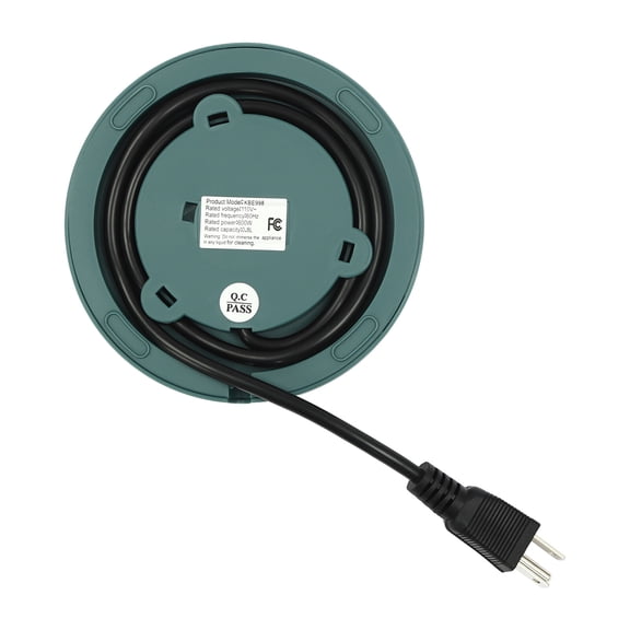 DENEST Temperature Control Electric Tea Kettle, Water Boiler & Heater green