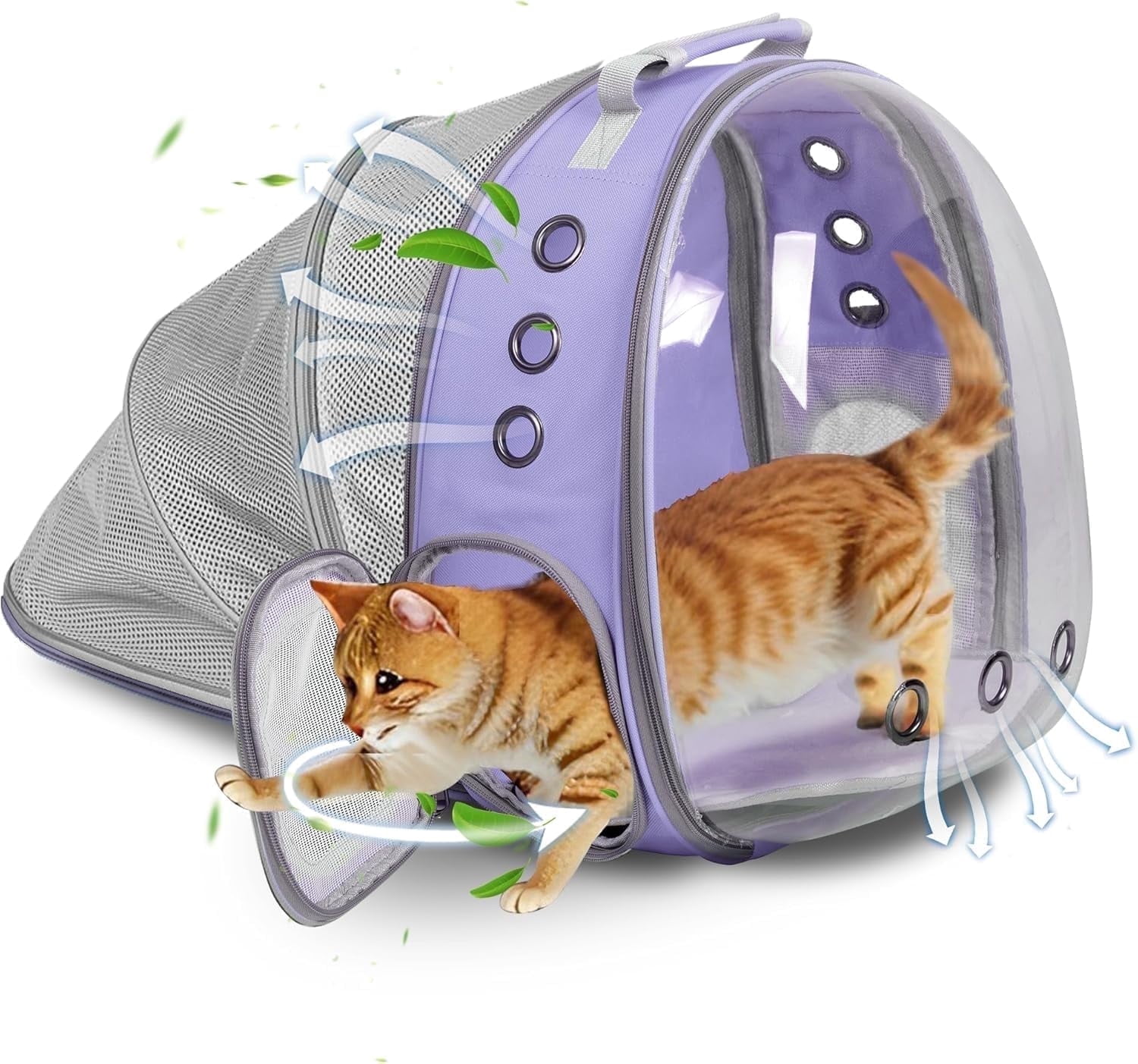 DENZUS Bubble Expandable & Foldable Cat Backpack Carrier, Breathable Pet Backpack for Large Cats, Designed for Hiking, Travelling, Camping