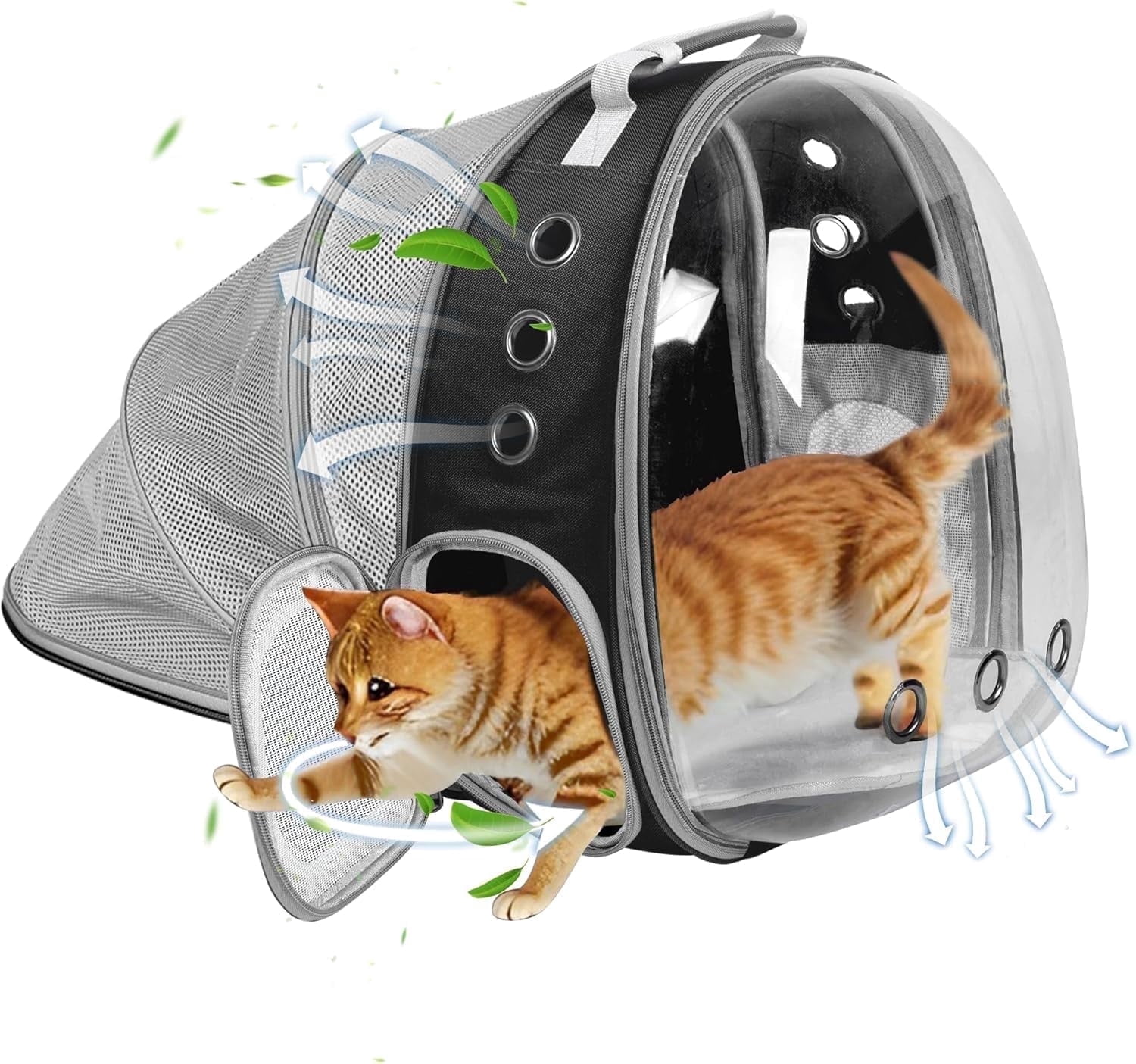 DENZUS Bubble Expandable & Foldable Cat Backpack Carrier, Breathable Pet Backpack for Large Cats, Designed for Hiking, Travelling, Camping