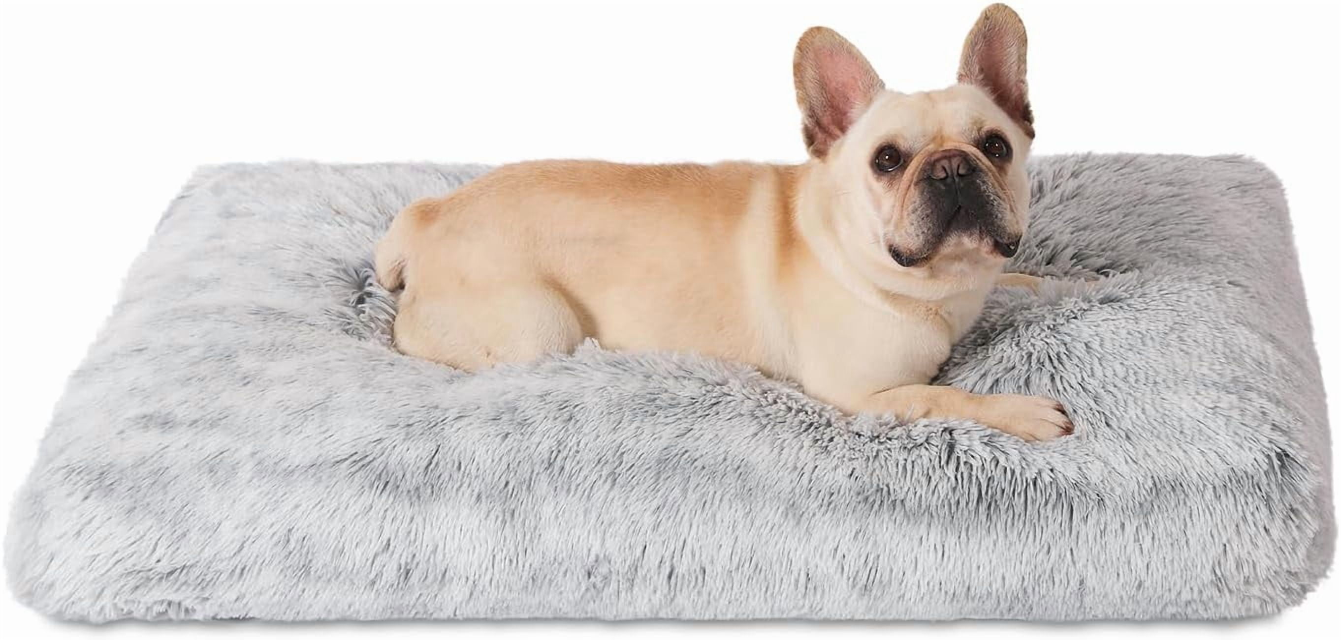 Photo inspiration: Fresh Look at Denzus Waterproof Dog Crate Bed With Removable Washable Cover Plush