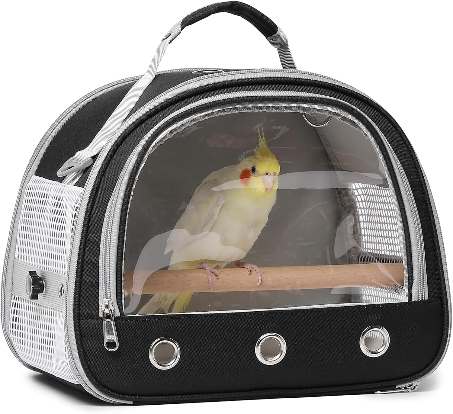 Picture of 5 Best Macaw Cages For Sale: Cage Setups, Sizes, Reviews